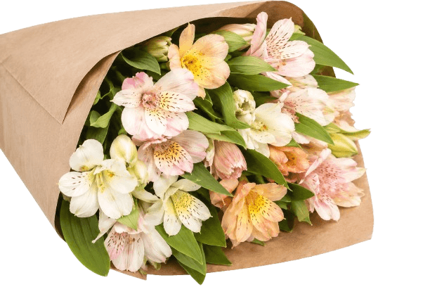 Free flower consultation